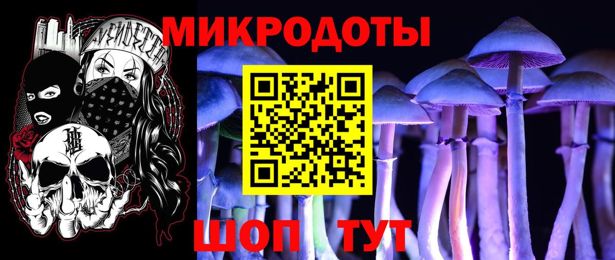 Галлюциногенные грибы мухоморы  Галлюциногенные грибы ЛСД  Новотроицк  Вход с VPN 